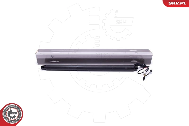 Electric Motor, tailgate
